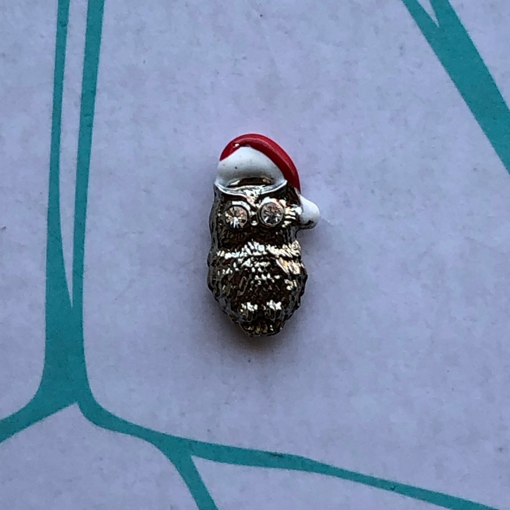 Santa Owl Charm‎